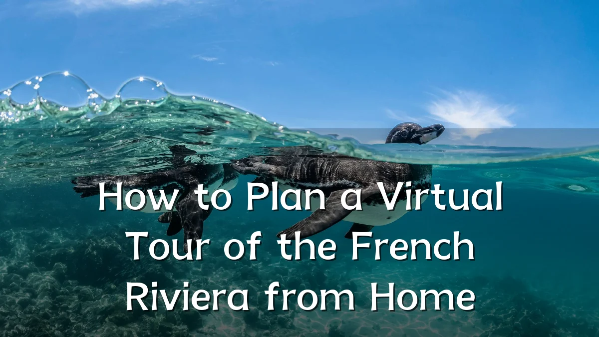 How to Plan a Virtual Tour of the French Riviera from Home