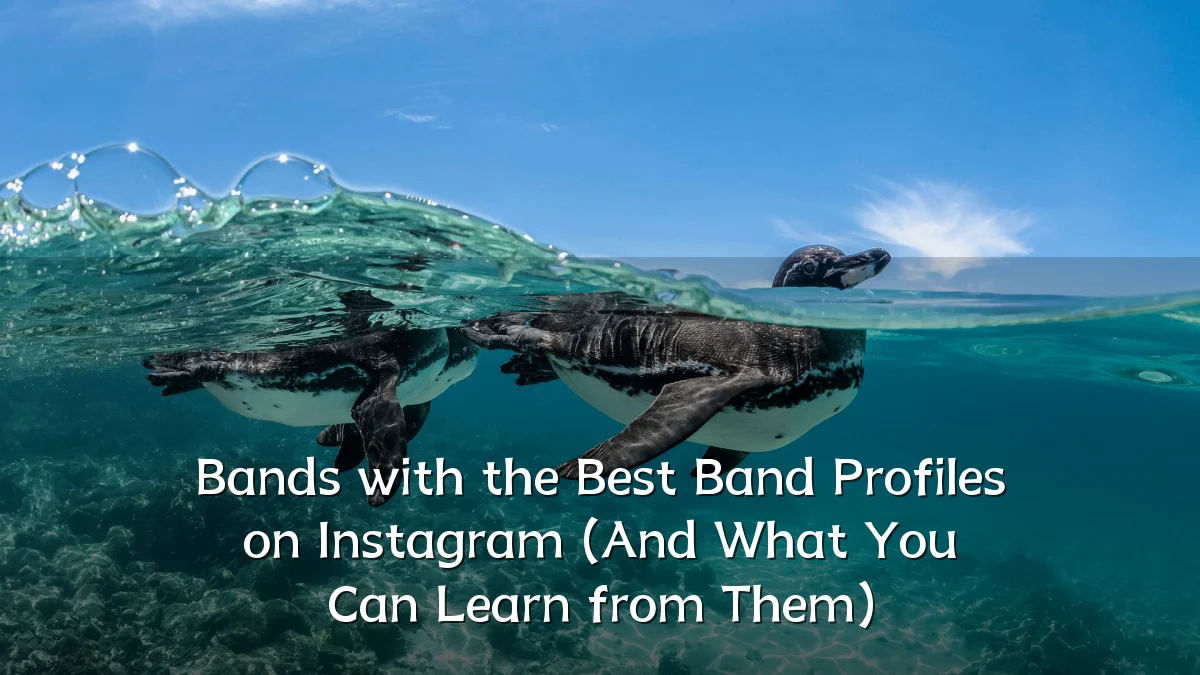 Bands with the Best Band Profiles on Instagram (And What You Can Learn from Them)