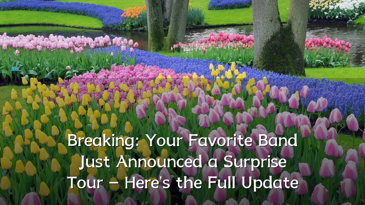 Breaking: Your Favorite Band Just Announced a Surprise Tour – Here's the Full Update