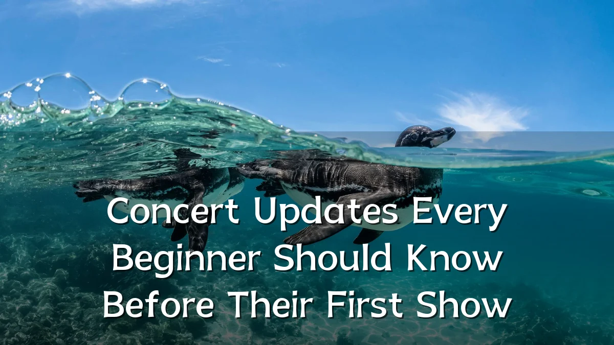 Concert Updates Every Beginner Should Know Before Their First Show