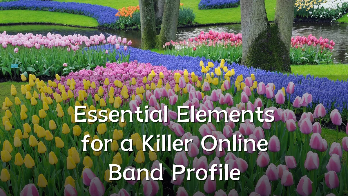Essential Elements for a Killer Online Band Profile