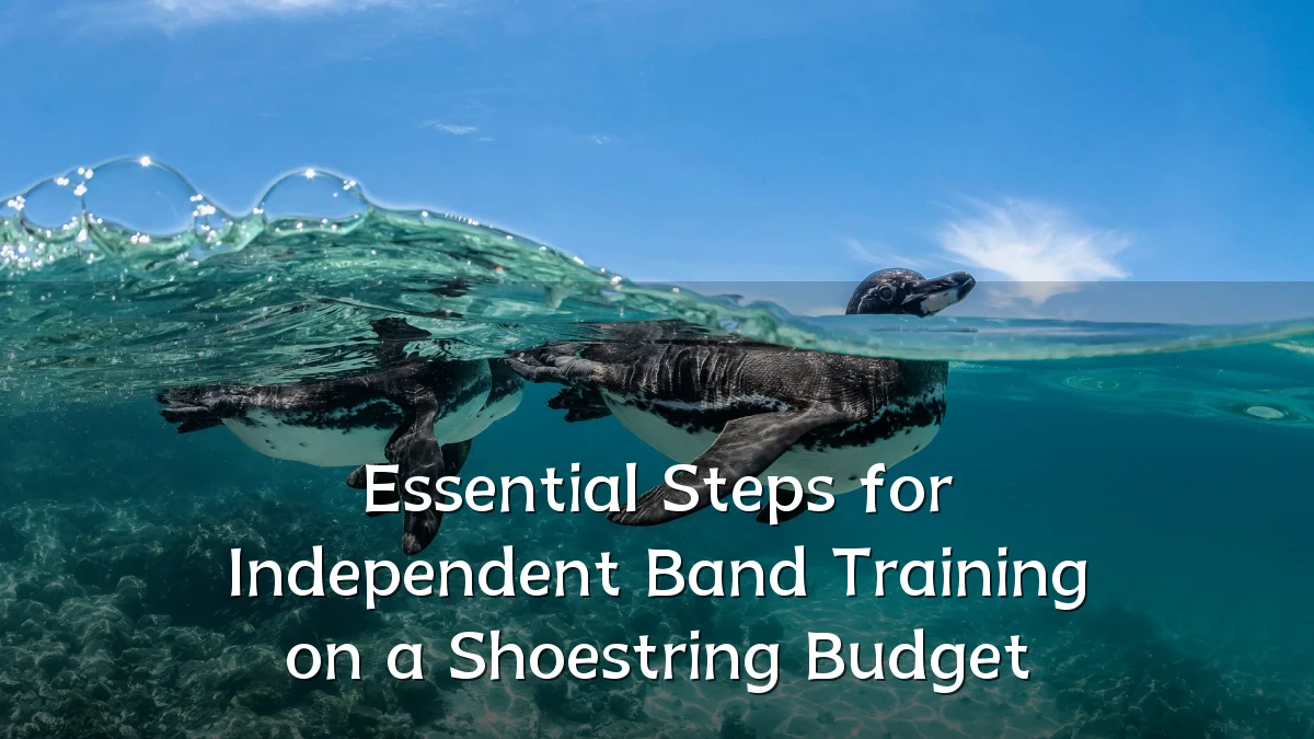 Essential Steps for Independent Band Training on a Shoestring Budget