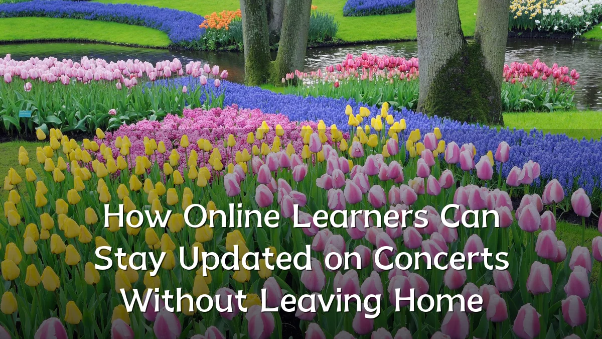 How Online Learners Can Stay Updated on Concerts Without Leaving Home