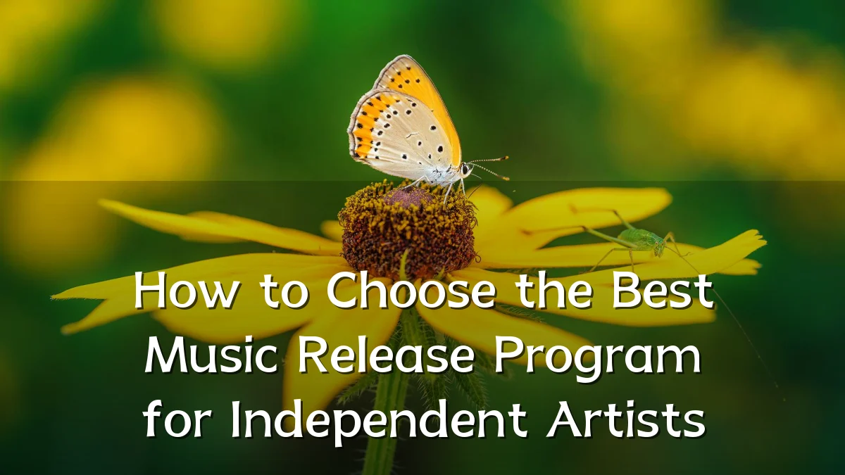 How to Choose the Best Music Release Program for Independent Artists
