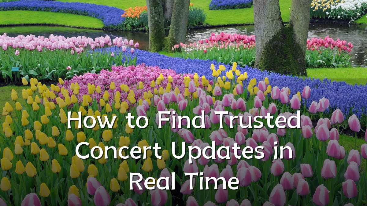 How to Find Trusted Concert Updates in Real Time