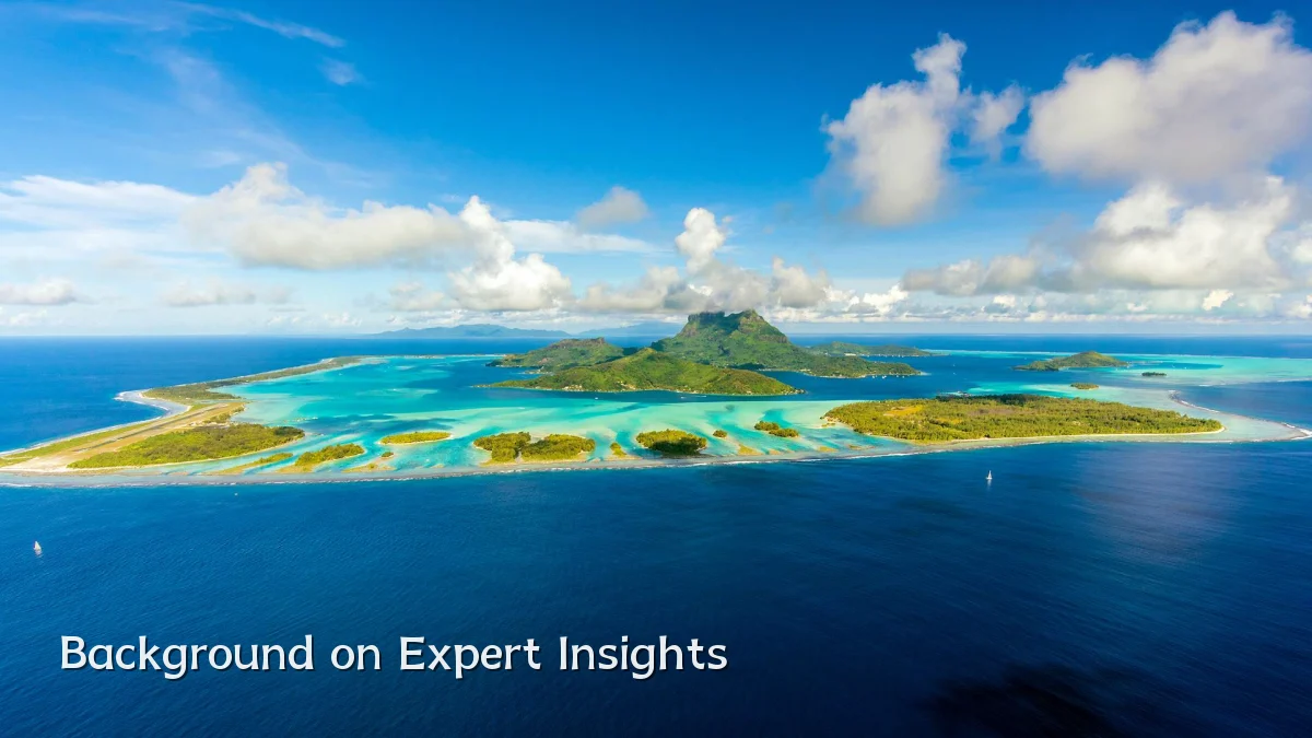 Background on Expert Insights