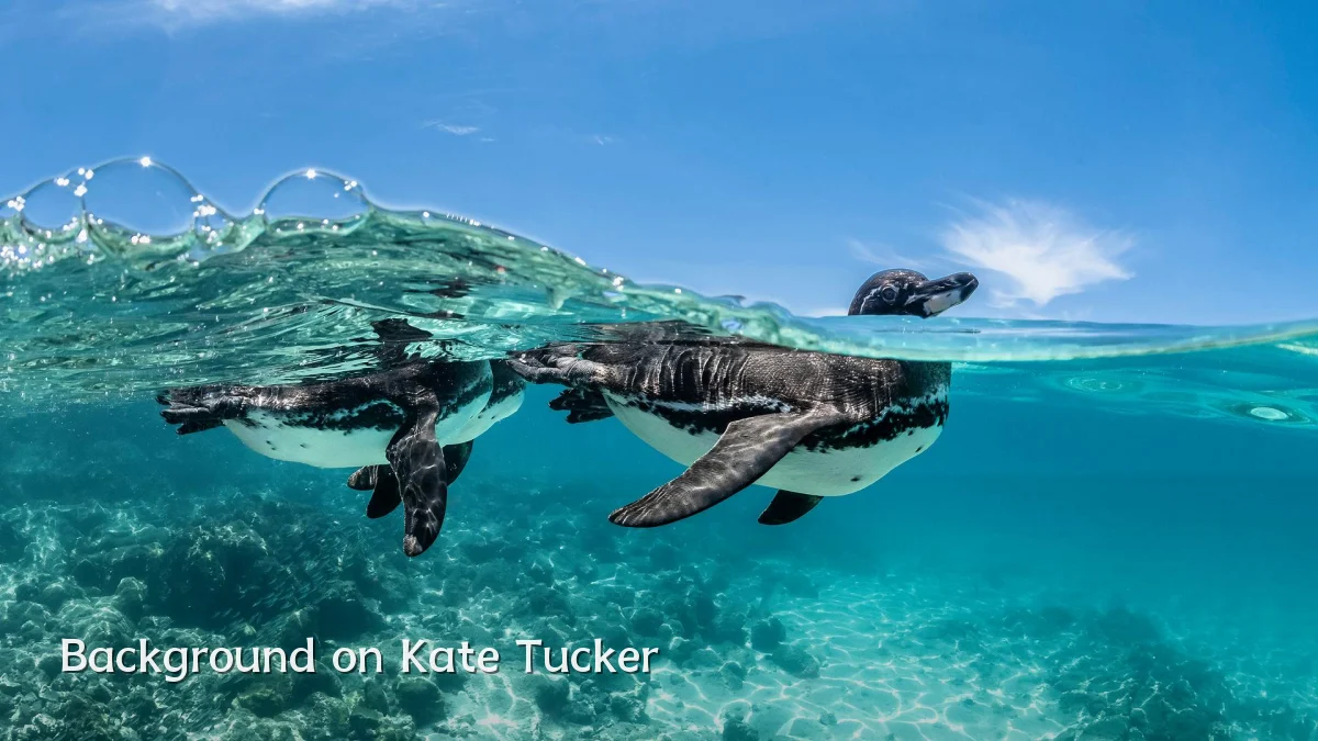 Background on Kate Tucker