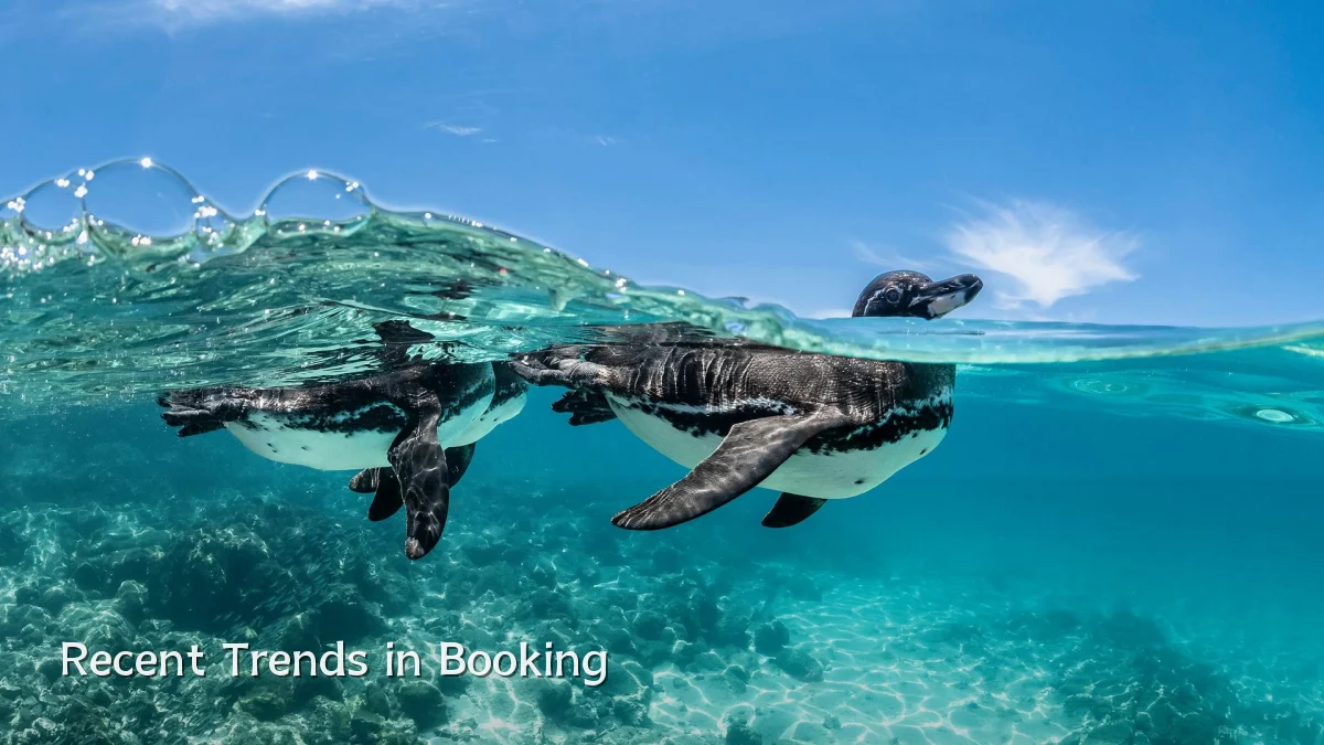 Recent Trends in Booking