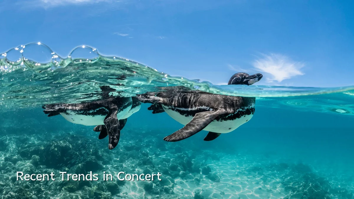 Recent Trends in Concert