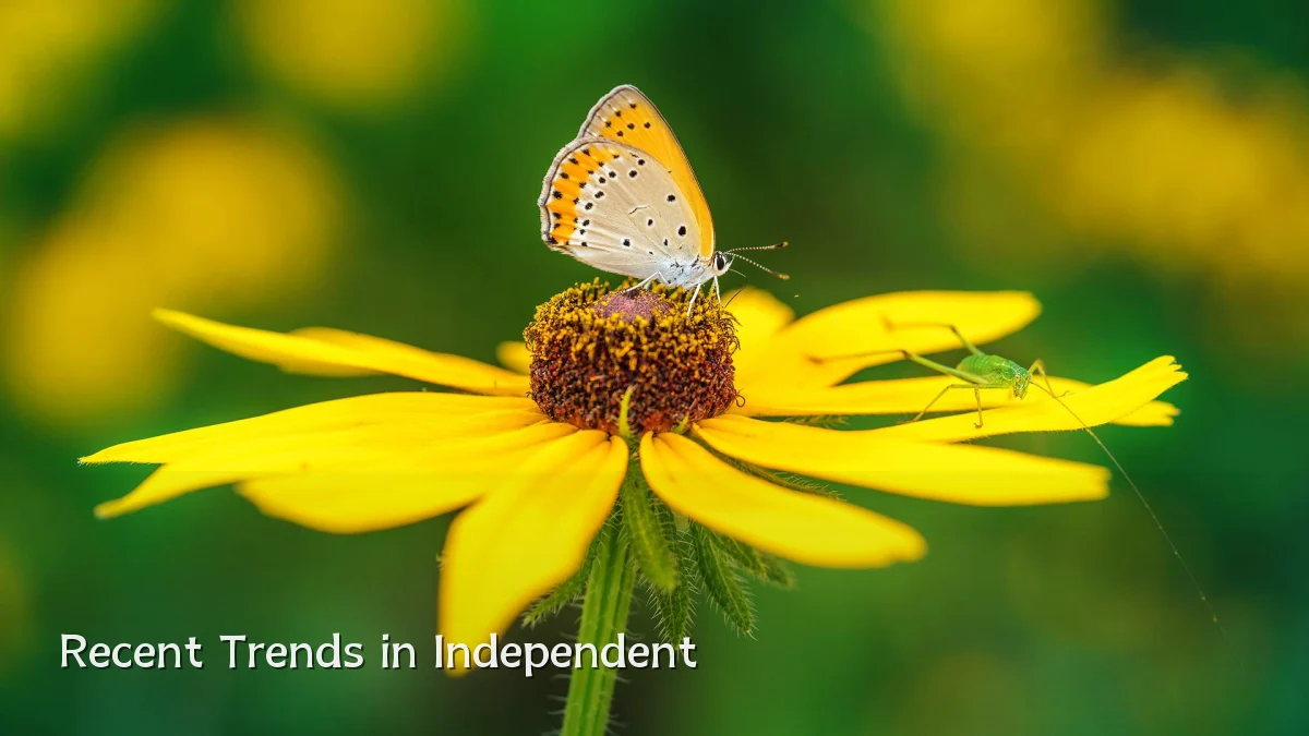 Recent Trends in Independent