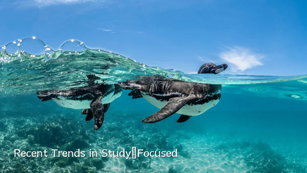 Recent Trends in Study‑Focused