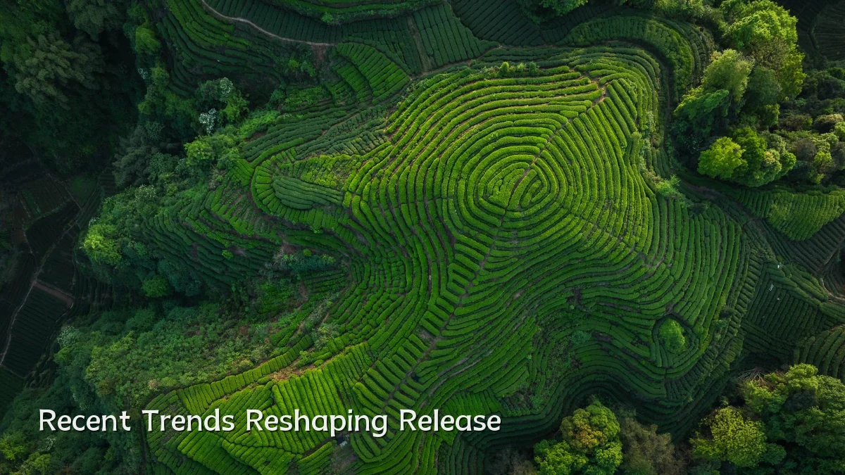 Recent Trends Reshaping Release