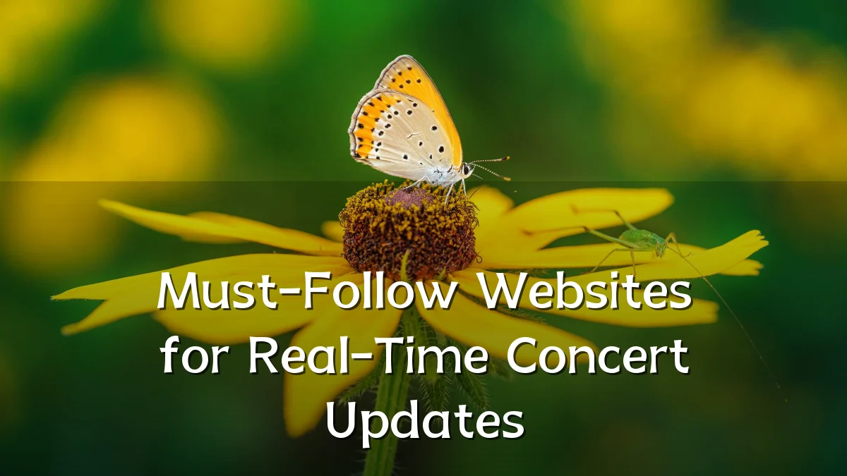Must-Follow Websites for Real-Time Concert Updates