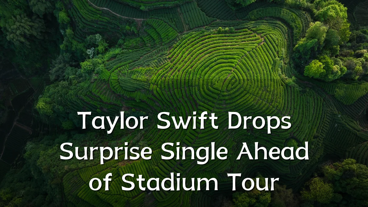 Taylor Swift Drops Surprise Single Ahead of Stadium Tour