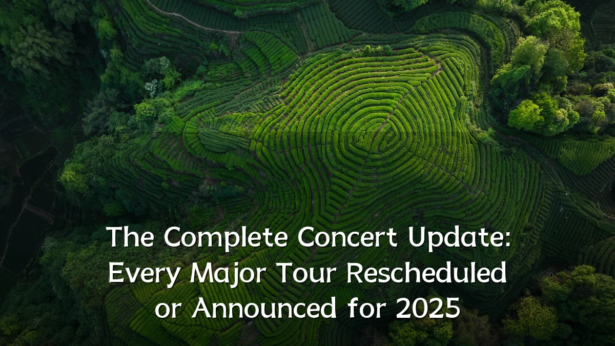 The Complete Concert Update: Every Major Tour Rescheduled or Announced for 2025