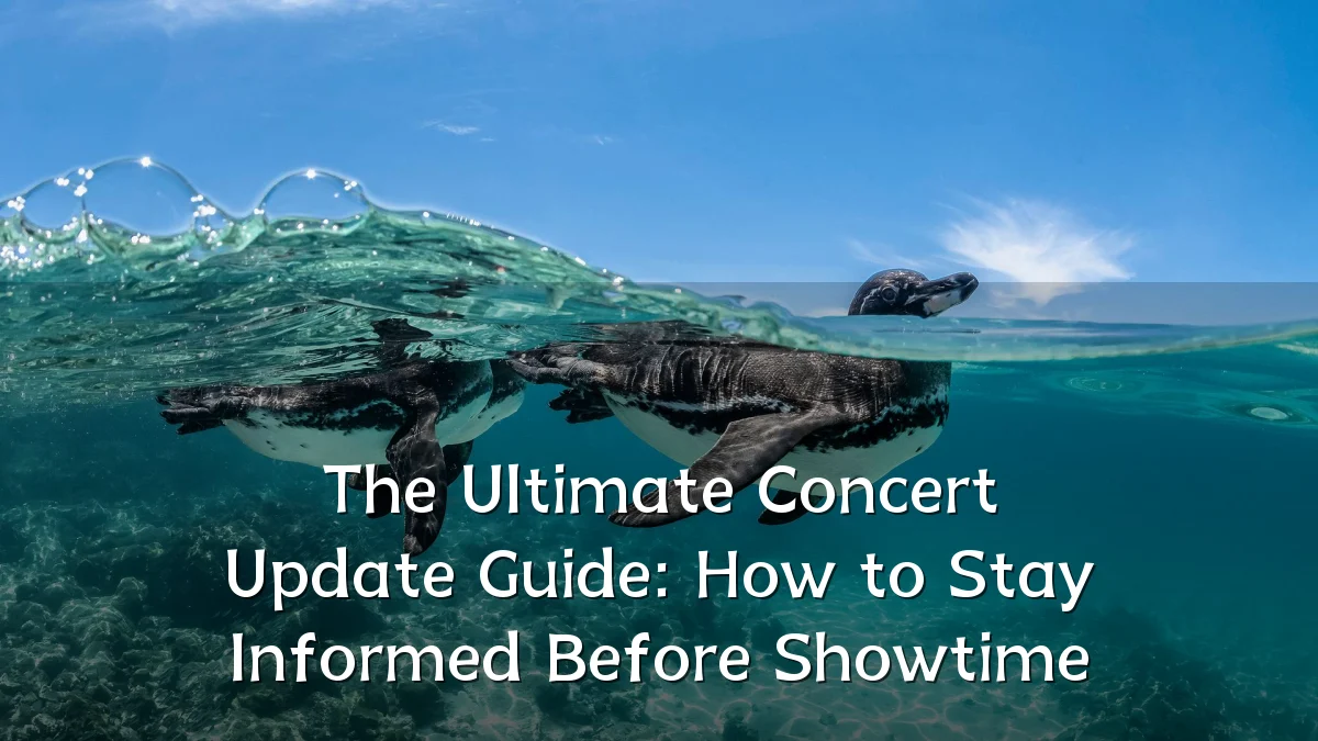 The Ultimate Concert Update Guide: How to Stay Informed Before Showtime