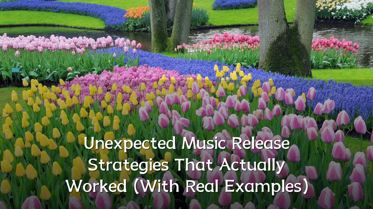 Unexpected Music Release Strategies That Actually Worked (With Real Examples)