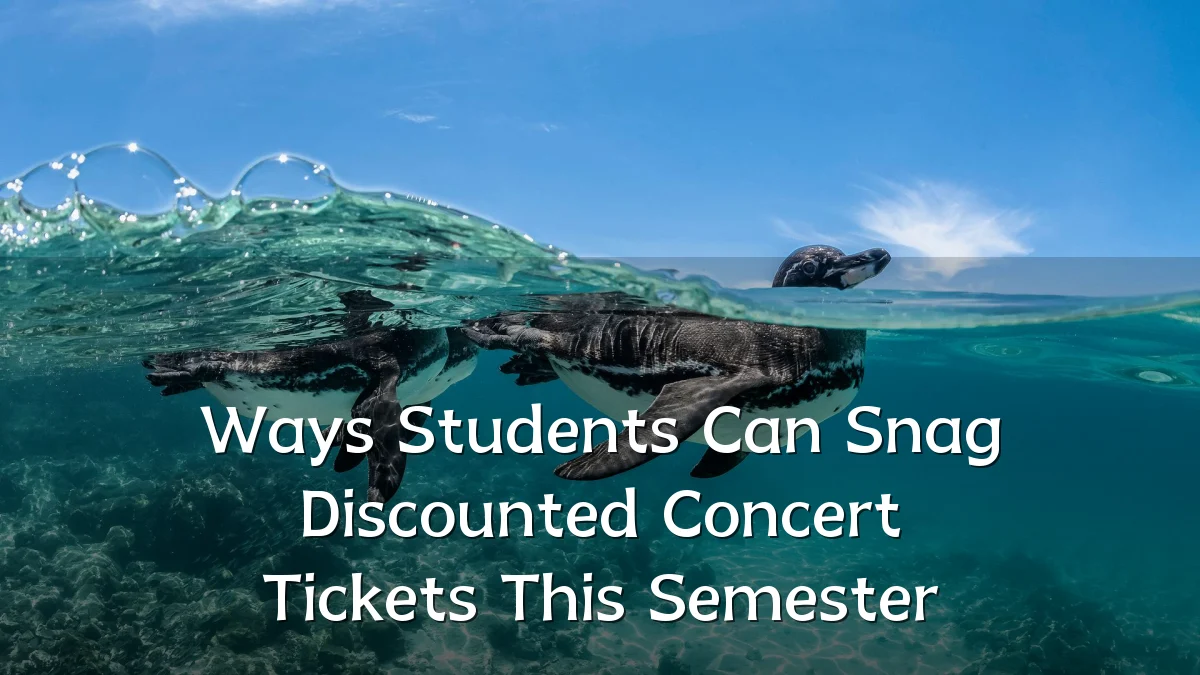 Ways Students Can Snag Discounted Concert Tickets This Semester