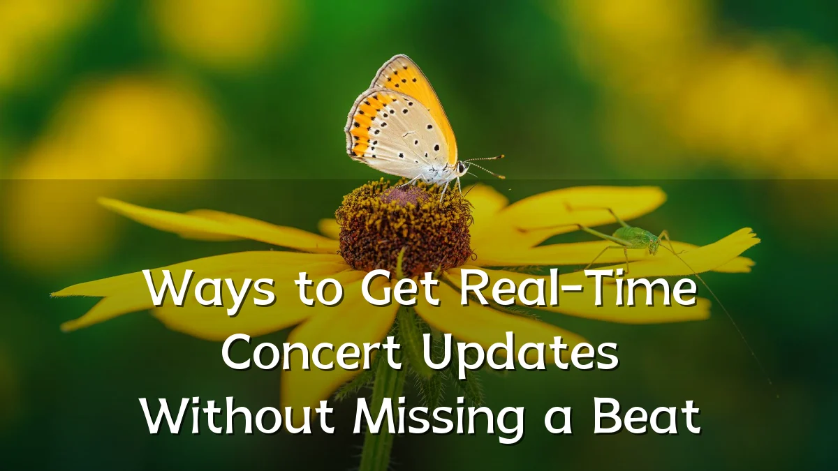 Ways to Get Real-Time Concert Updates Without Missing a Beat