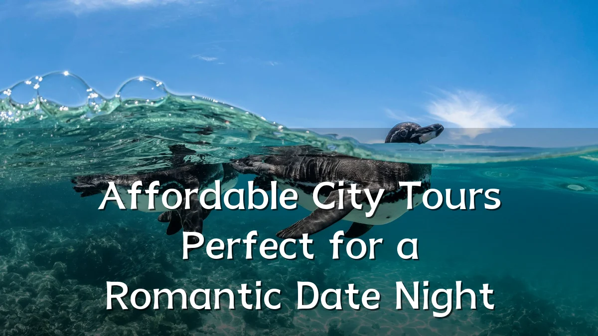Affordable City Tours Perfect for a Romantic Date Night