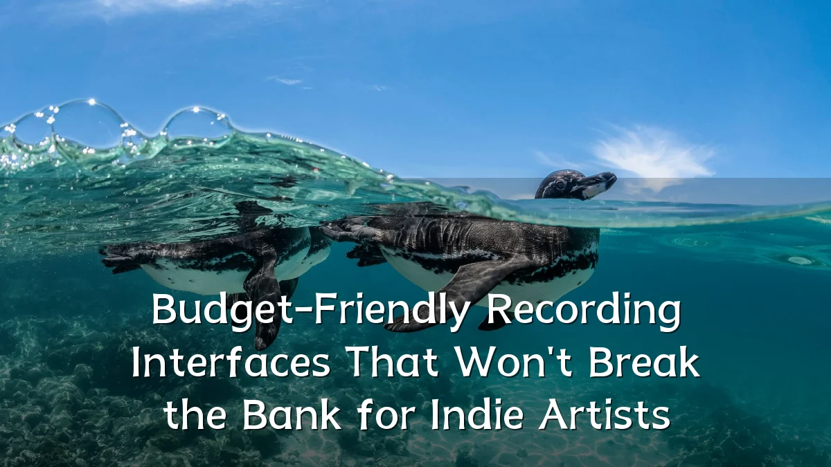 Budget-Friendly Recording Interfaces That Won't Break the Bank for Indie Artists