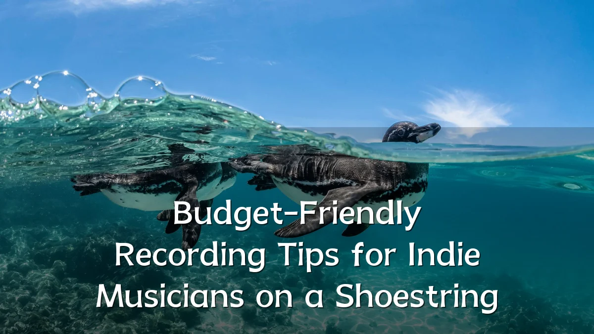 Budget-Friendly Recording Tips for Indie Musicians on a Shoestring