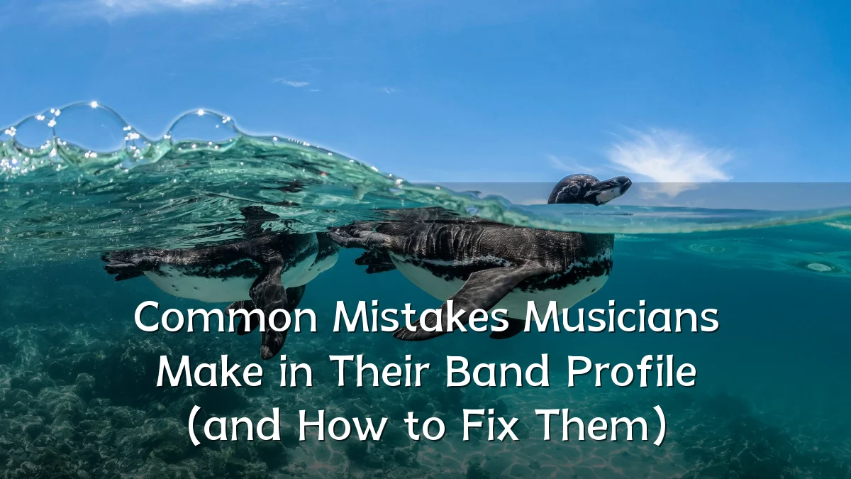 Common Mistakes Musicians Make in Their Band Profile (and How to Fix Them)