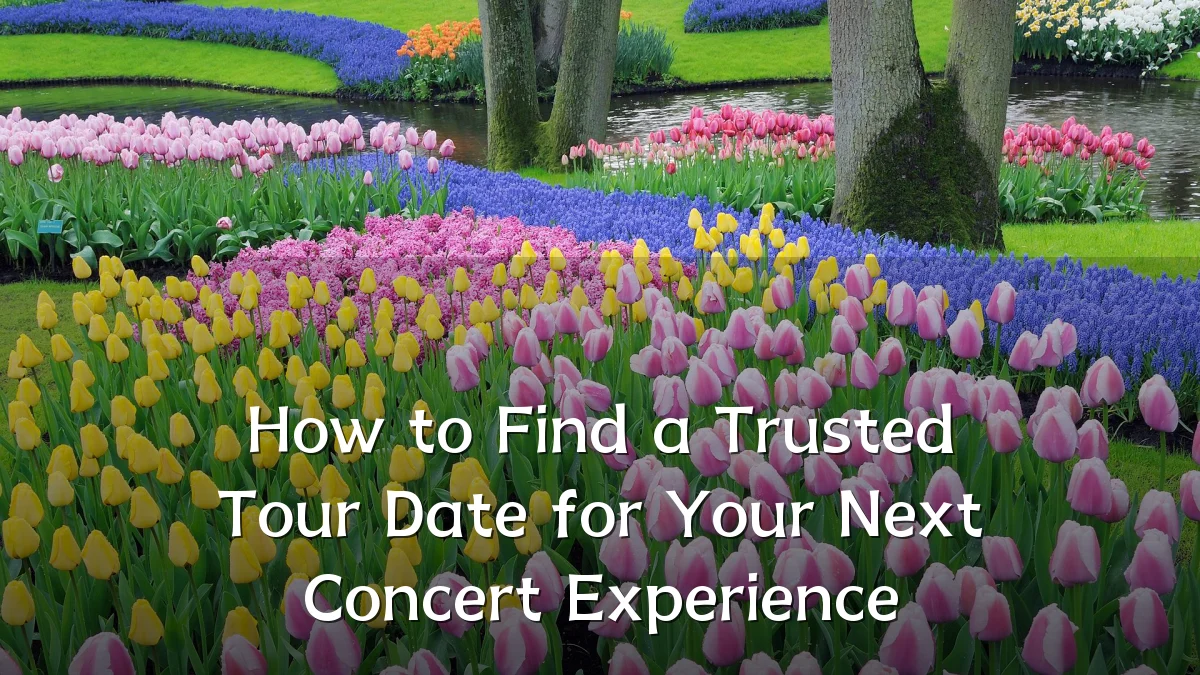 How to Find a Trusted Tour Date for Your Next Concert Experience