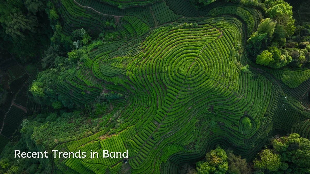 Recent Trends in Band