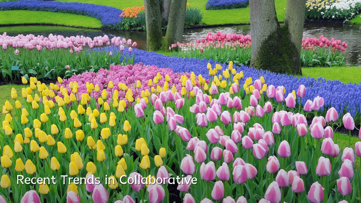 Recent Trends in Collaborative
