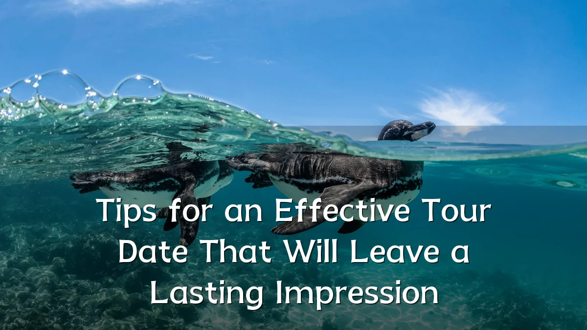 Tips for an Effective Tour Date That Will Leave a Lasting Impression
