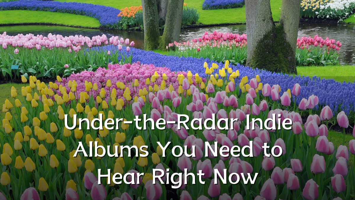 Under-the-Radar Indie Albums You Need to Hear Right Now